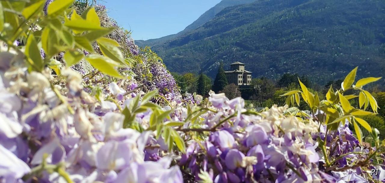 Lo Gnomo Sotto Al Glicine Apartment Chatillon Bagian luar foto